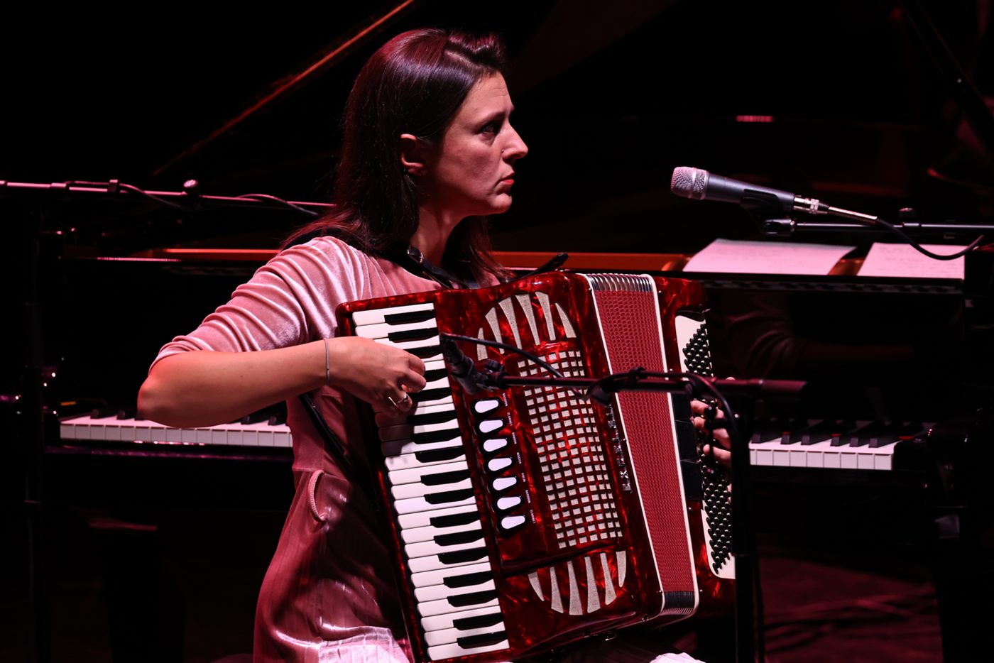 La pianista alla fisarmonica